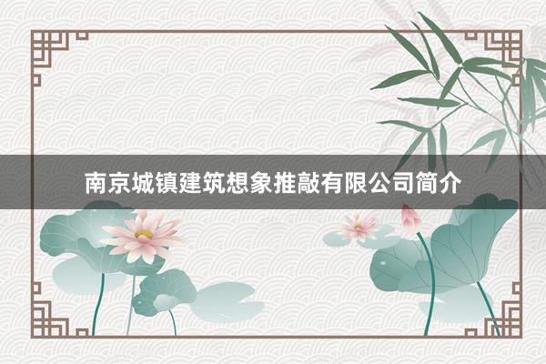 南京城镇建筑想象推敲有限公司简介