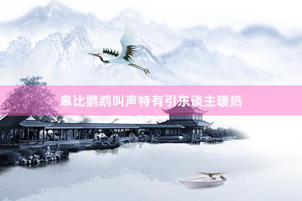 皋比鹦鹉叫声特有引东谈主暖热